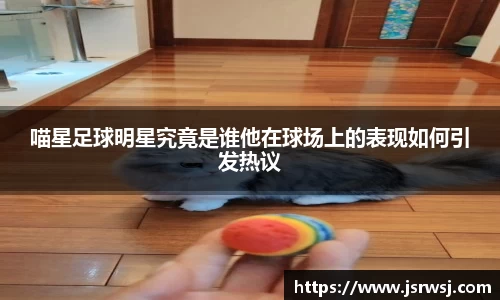 喵星足球明星究竟是谁他在球场上的表现如何引发热议